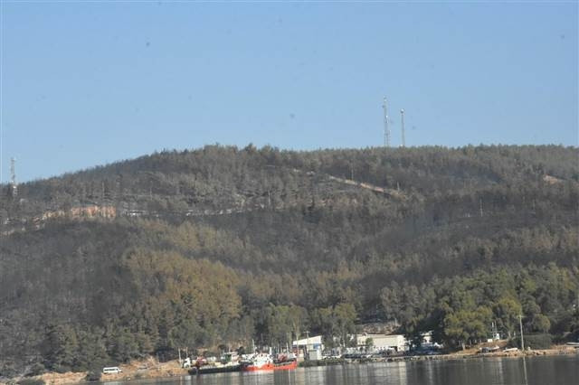 Bodrum yangınında acı bilanço