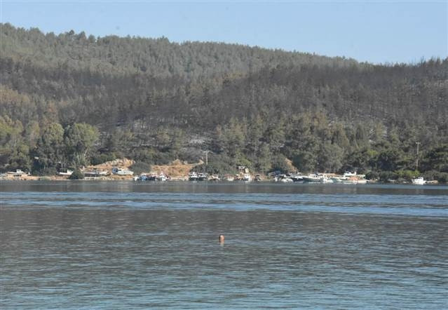Bodrum yangınında acı bilanço