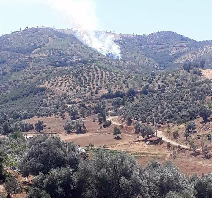 Afet bölgesi nedir Afet bölgesi ilan edilen yerler