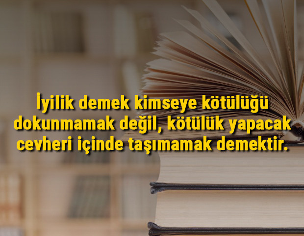 Sabahattin Ali sözleri - Sebahattin Alinin en güzel resimli, kısa, uzun, anlamlı olan aşk ve sevda sözleri