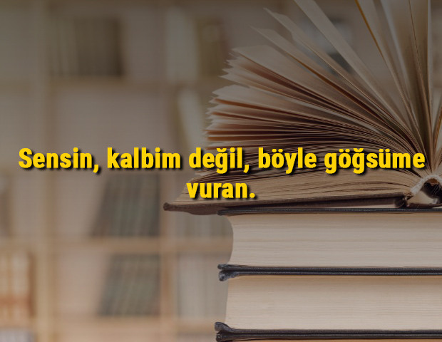 Sabahattin Ali sözleri - Sebahattin Alinin en güzel resimli, kısa, uzun, anlamlı olan aşk ve sevda sözleri