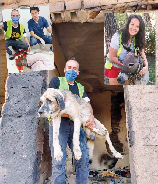 Kurtardıkları hayvanları çiftlikte yaşatacaklar