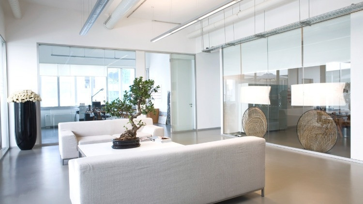 Feng Shui Felsefesine göre enerji veren en iyi bitkiler ve çiçekler