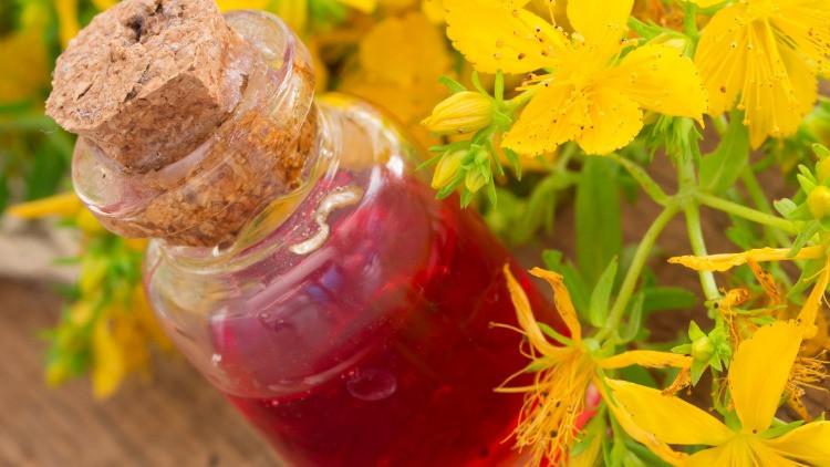 Kırmızı Kantaron Yağı Faydaları Nelerdir