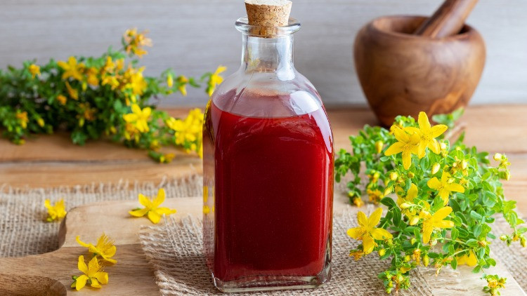 Kırmızı Kantaron Yağı Nasıl Yapılır