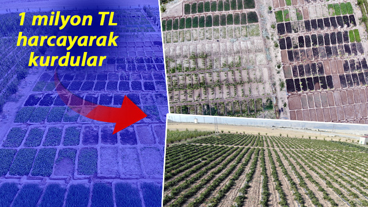 www.hurriyet.com.tr