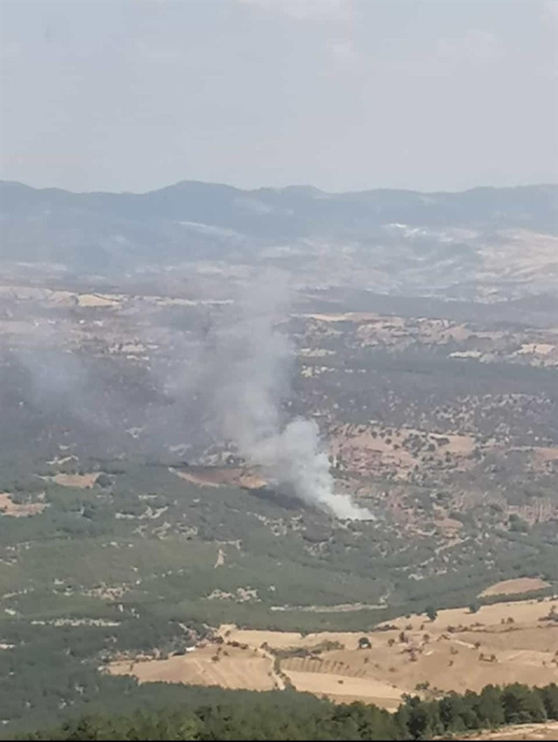 Manisa Demircide korkutan yangın