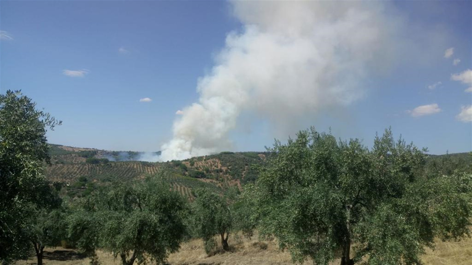 Manisa Demircide korkutan yangın