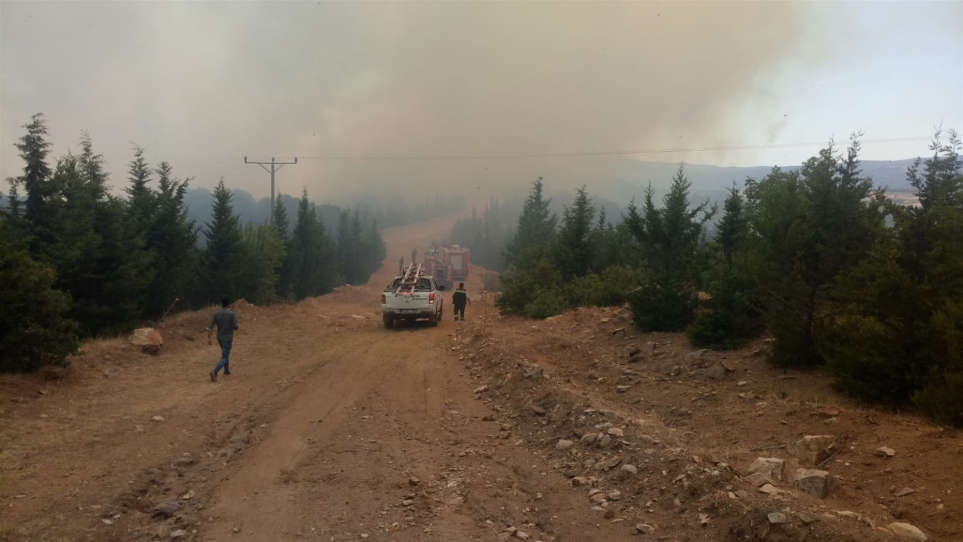 Manisa Demircide korkutan yangın