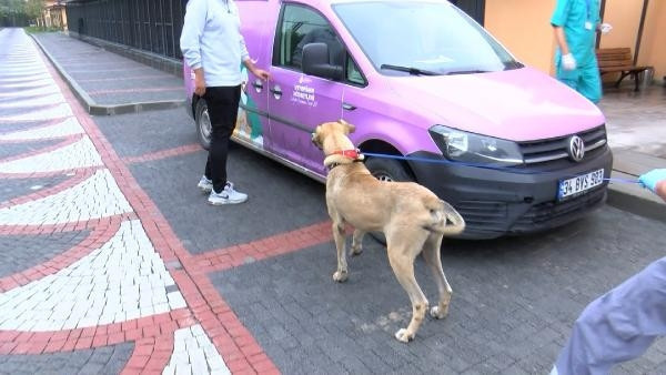Boji bakımevinde bile yolculuk yapıyor