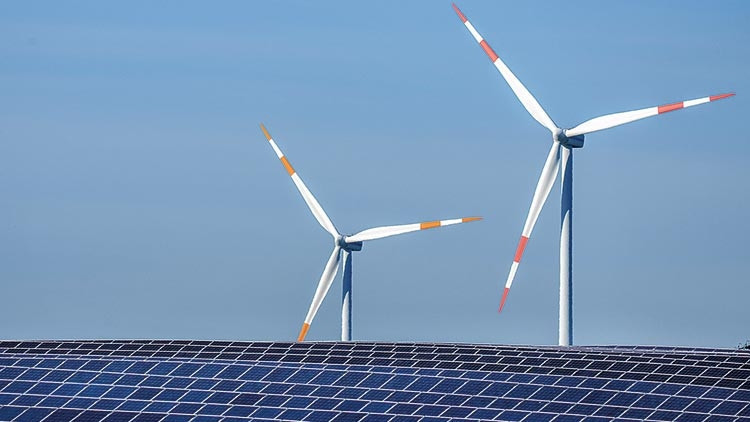 1- NEDEN COP26