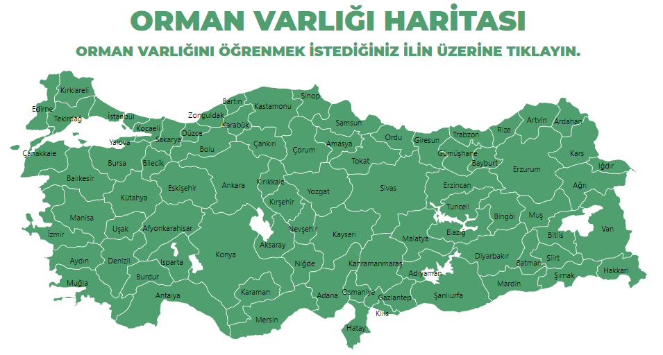 GELECEĞE NEFES KAMPANYASI İÇİN BAŞVURU NASIL YAPILIR