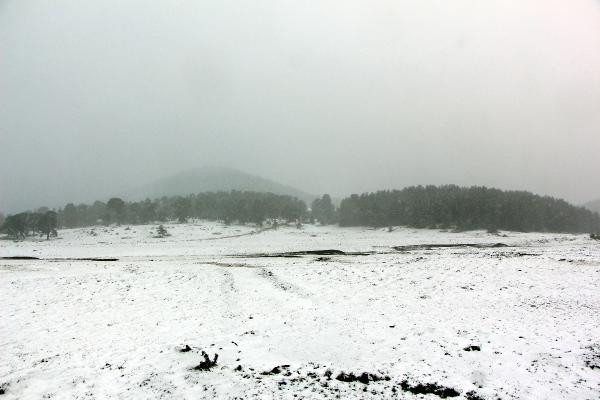 Son dakika... Meteoroloji uyarmıştı Kar yağışı etkili oldu: Her yer beyaza büründü Son dakika... Meteoroloji uyarmıştı Kar yağışı etkili oldu: Her yer beyaza büründü