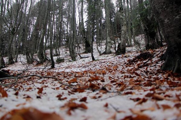 Son dakika... Meteoroloji uyarmıştı Kar yağışı etkili oldu: Her yer beyaza büründü Son dakika... Meteoroloji uyarmıştı Kar yağışı etkili oldu: Her yer beyaza büründü