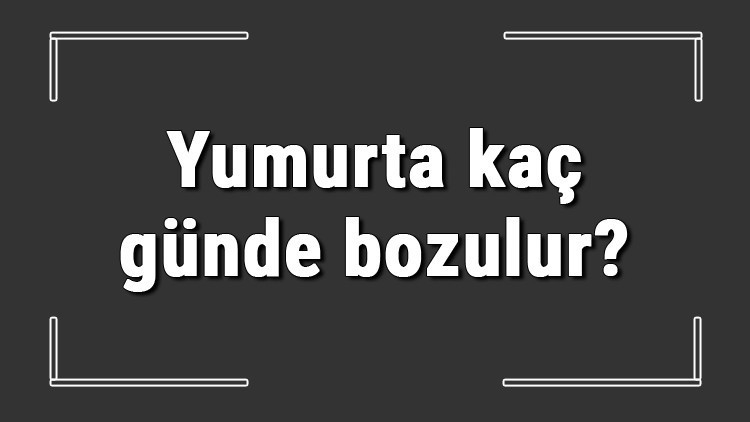 Yumurta kaç günde bozulur Haşlanmış, kırılmış ve çiğ yumurta yazın sıcakta ya da kışın soğukta kaç günde bozulur