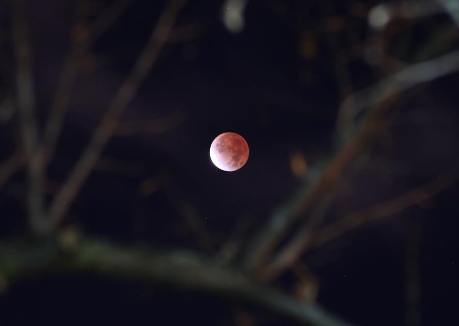Son dakika: 580 yıl sonra bir ilk... En uzun Ay tutulmasından nefes kesen kareler