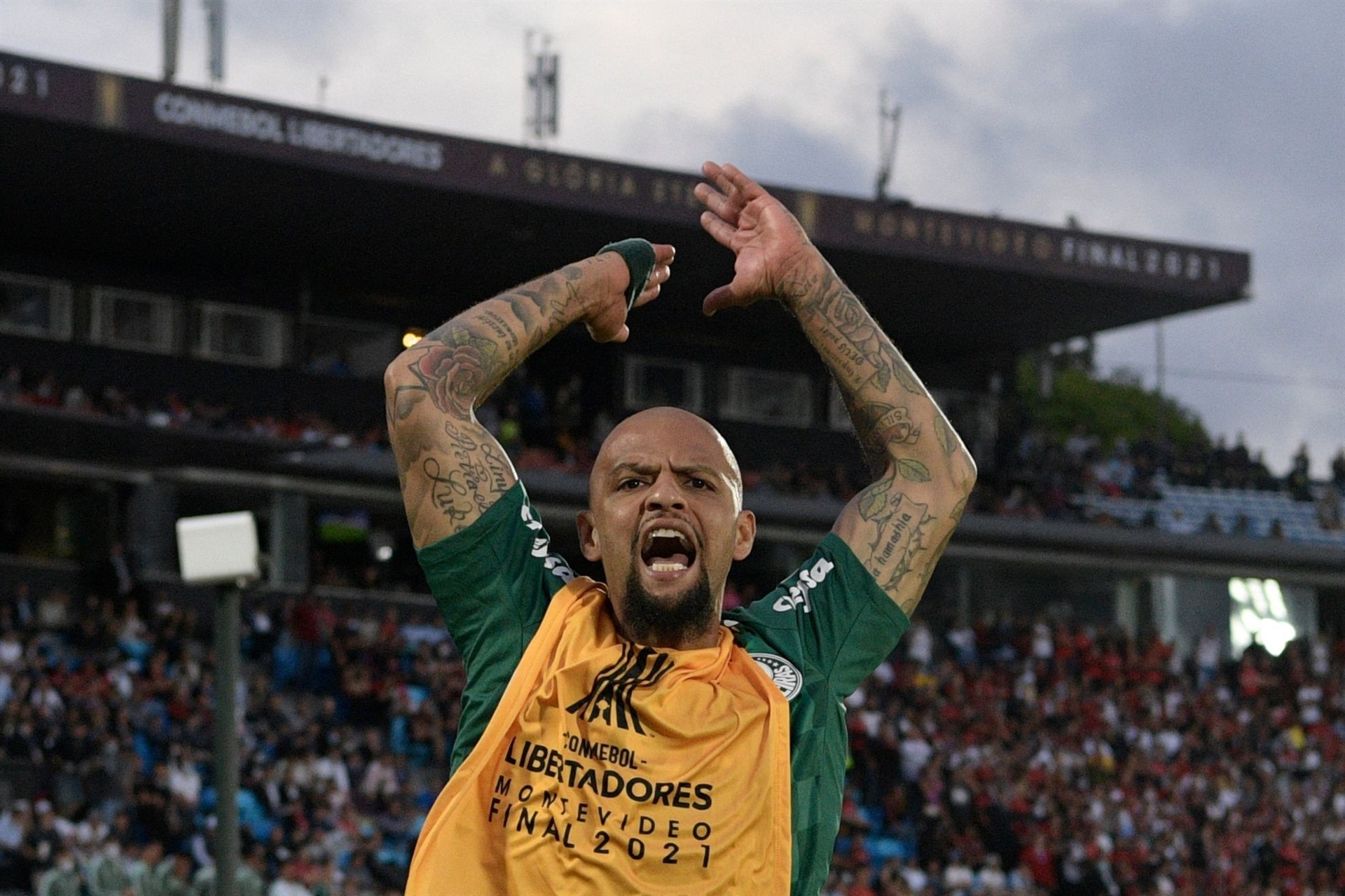 Copa Libertadores şampiyonu Palmeiras
