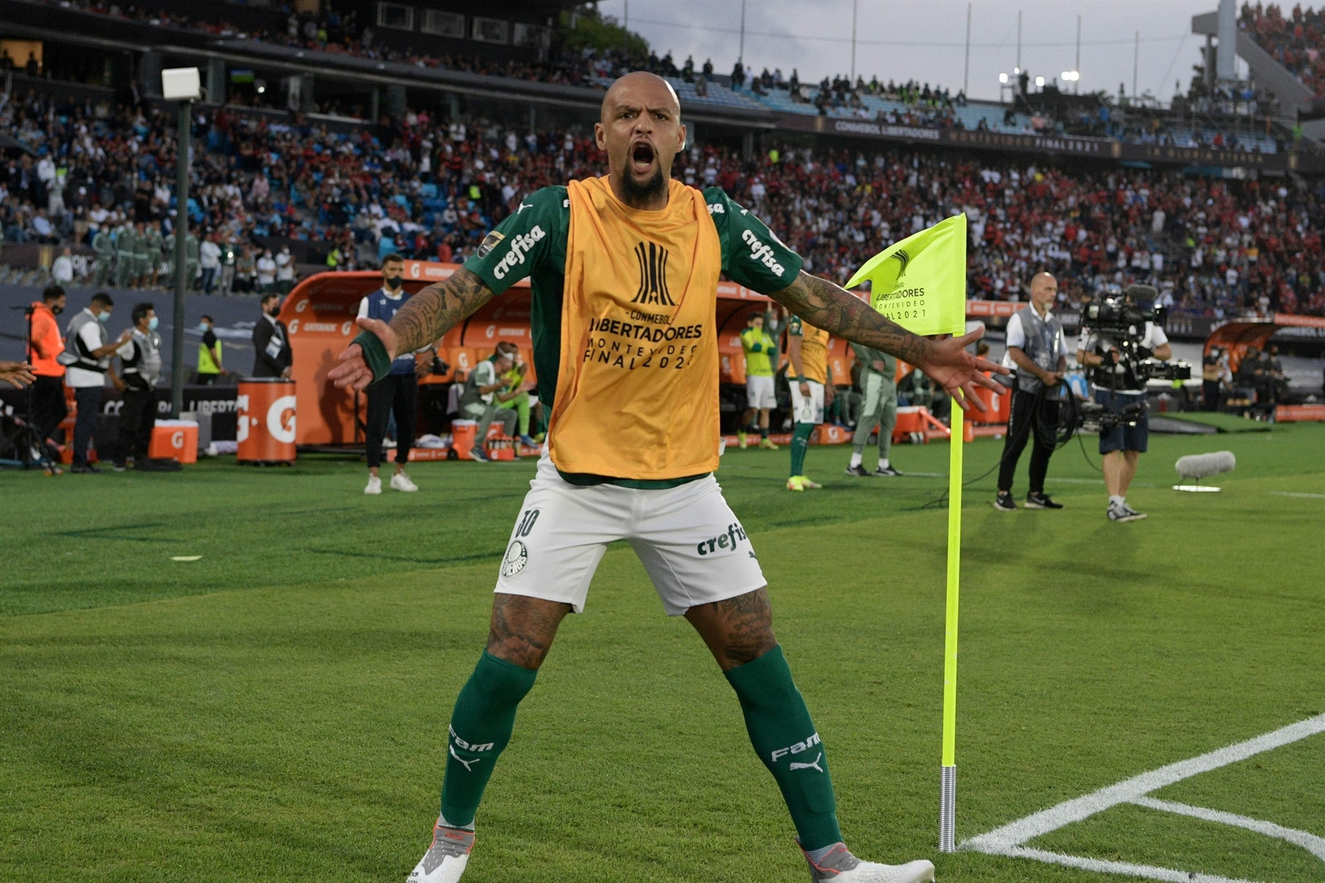 Copa Libertadores şampiyonu Palmeiras