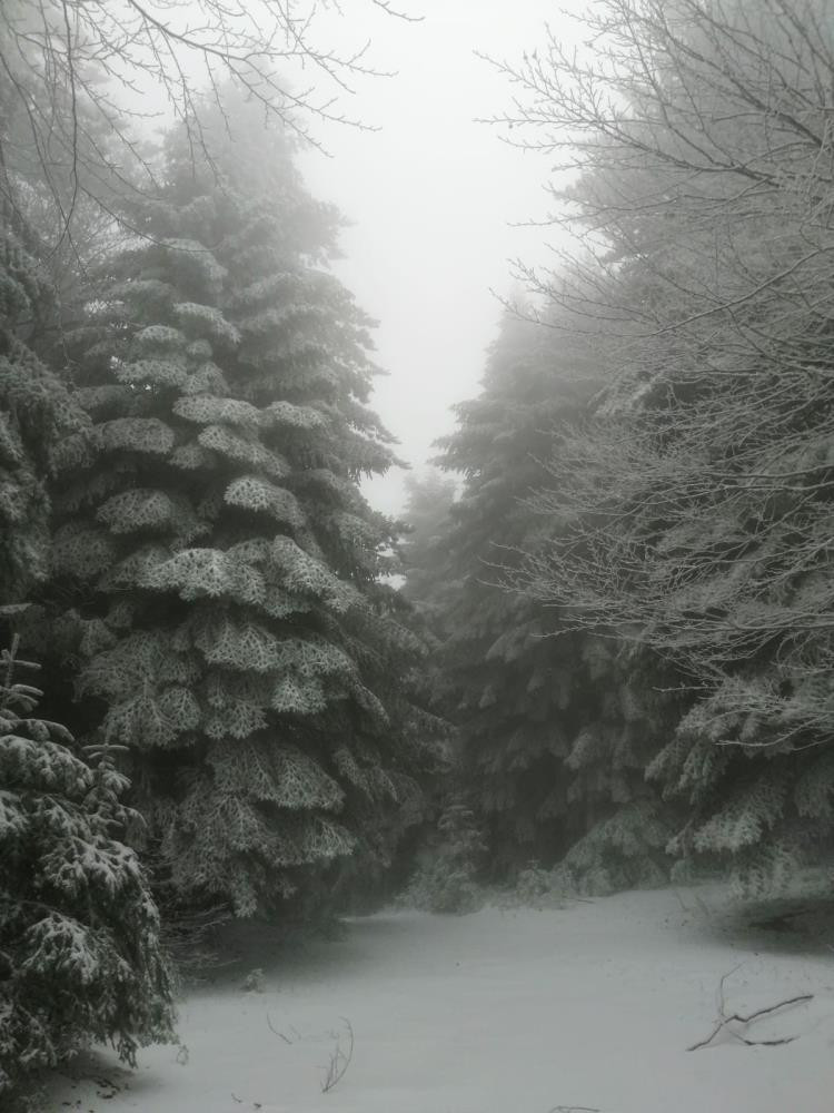 Son dakika: İstanbulda kar yağışı için gün belli oldu Peş peşe uyarılar: İlk kar düştü, Marmara beyaza büründü