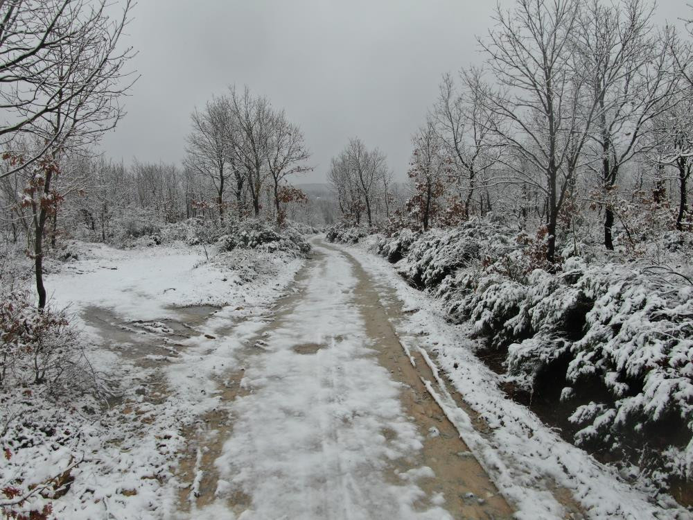 Son dakika: İstanbulda kar yağışı için gün belli oldu Peş peşe uyarılar: İlk kar düştü, Marmara beyaza büründü