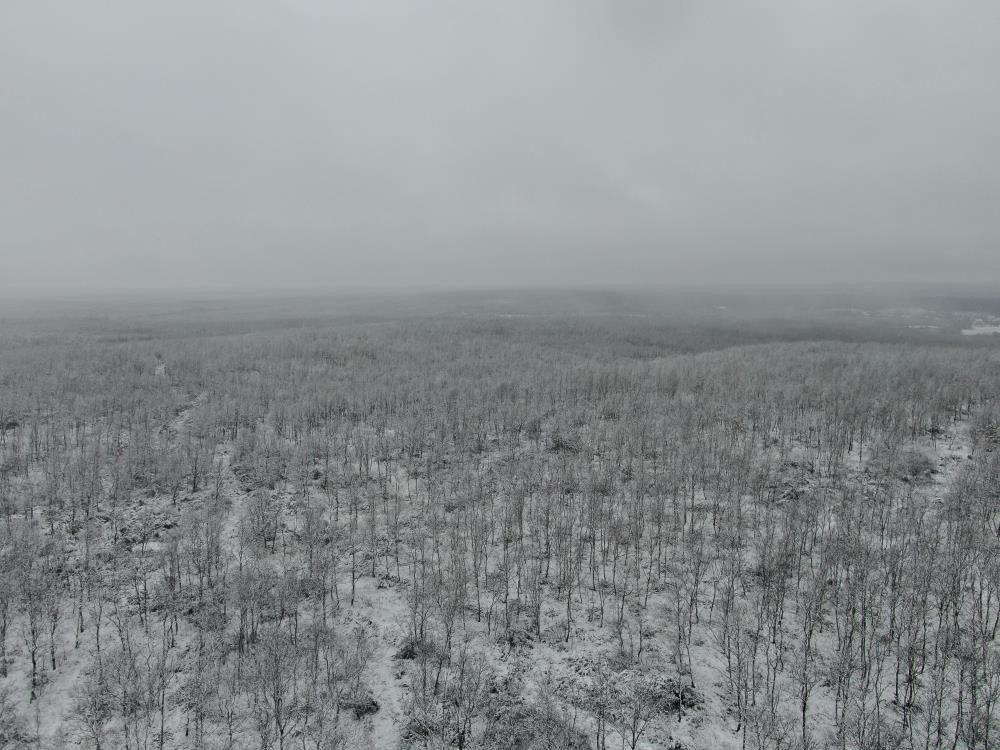 Son dakika: İstanbulda kar yağışı için gün belli oldu Peş peşe uyarılar: İlk kar düştü, Marmara beyaza büründü