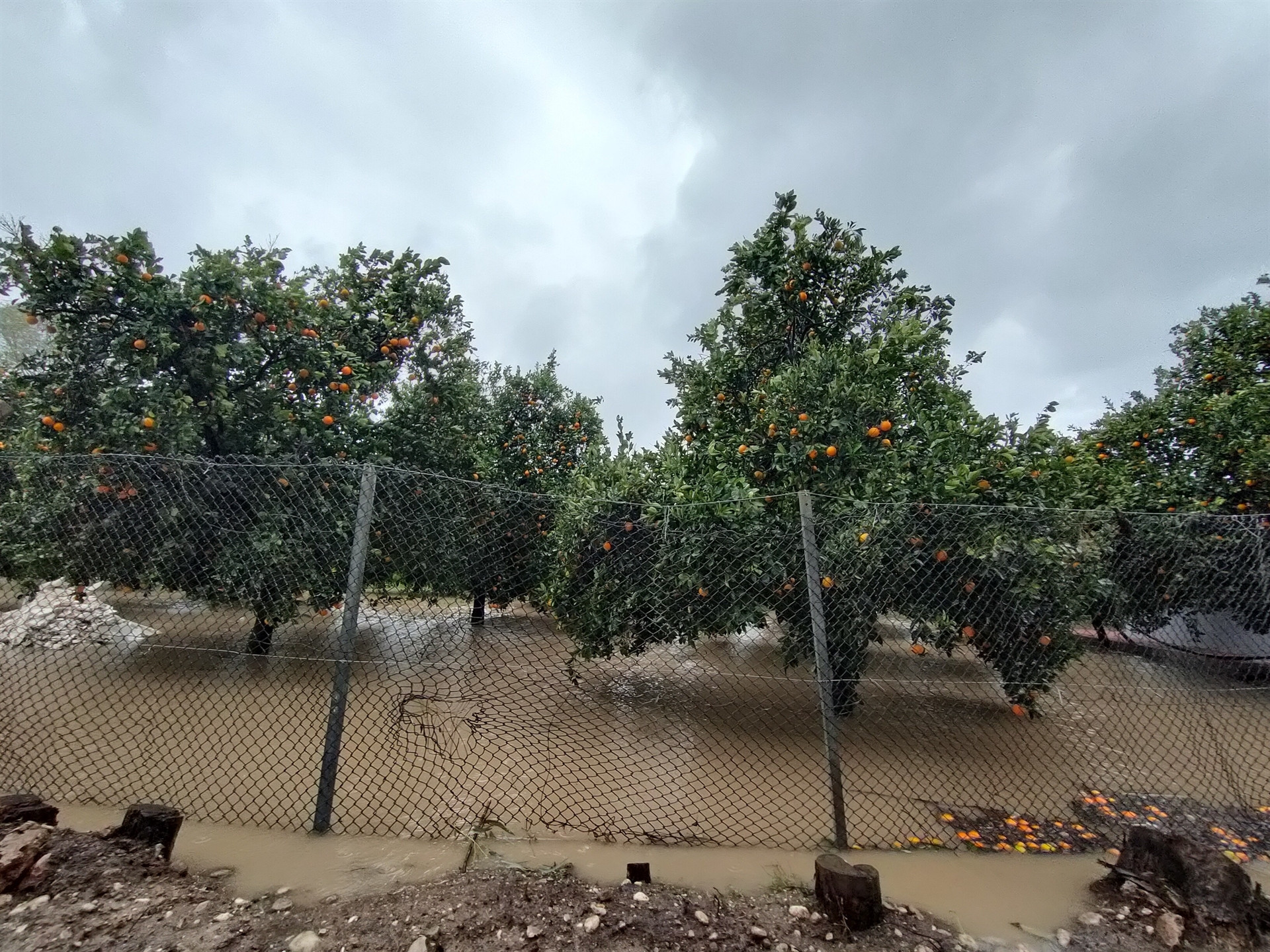 Meteoroloji uyarmıştı Antalyada şiddetli yağış başladı