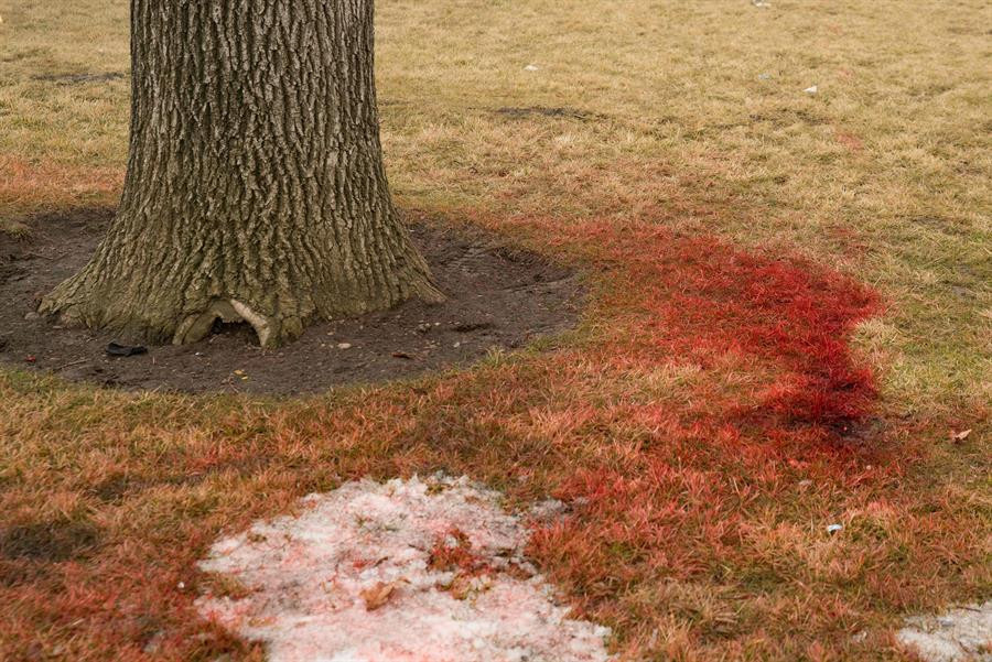 Son dakika... Kazakistandaki çatışmalardan yeni görüntüler