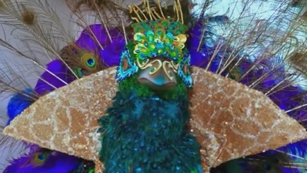 MASKE KİMSİN SEN’DE TAVUS KUŞU KİM ÇIKTI