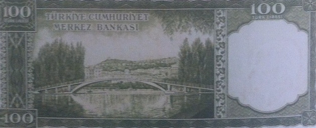 100 TL