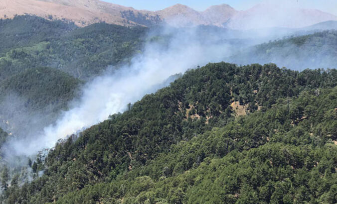 OGM personel alımı tarihleri belirlendi mi, alım ne zaman yapılacak  5 bin işçi alımı için gözler Tarım ve Orman Bakanlığında
