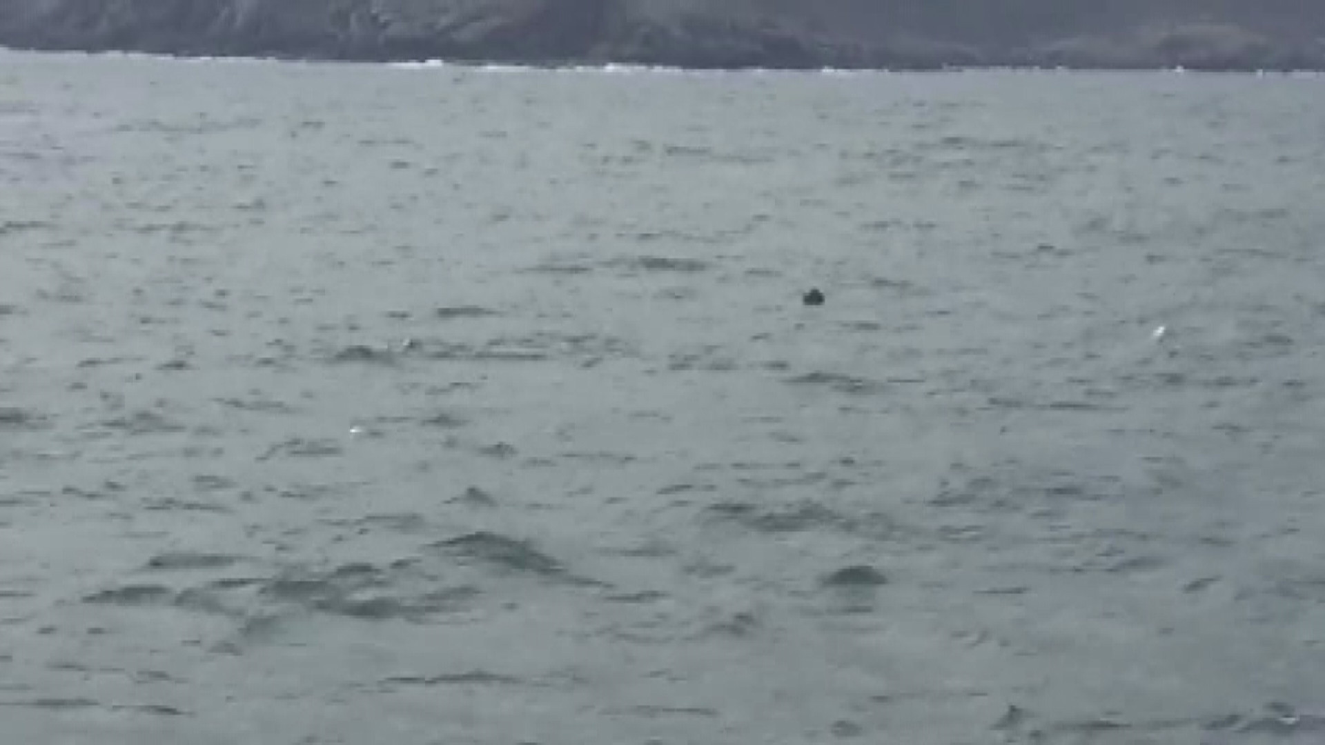 İstanbul Boğazında mayın paniği