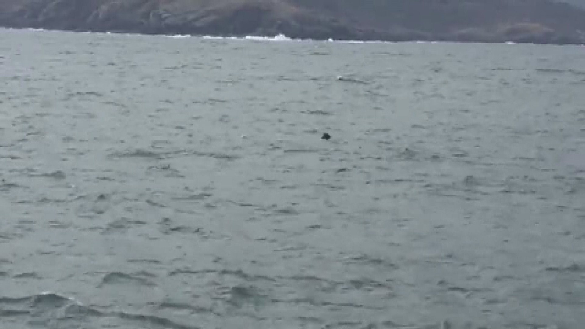 İstanbul Boğazında mayın paniği