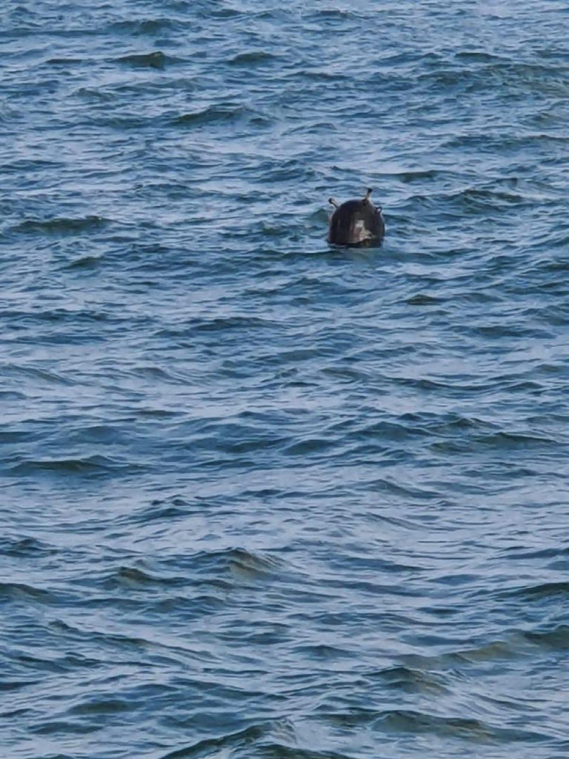 İstanbul Boğazında mayın paniği