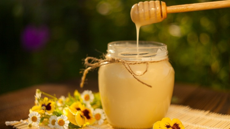 Arı Sütü Ne İşe Yarar, Nasıl Kullanılır İşte, Mucizevi Arı Sütünün Faydaları