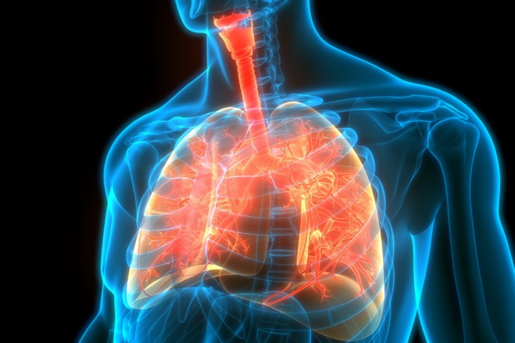 Tüberküloz belirtileri nelerdir