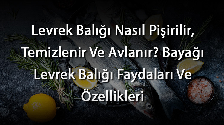 Levrek Balığı Nasıl Pişirilir, Temizlenir Ve Avlanır Bayağı Levrek Balığı Faydaları Ve Özellikleri