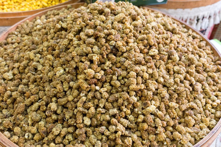 Dut nasıl kurutulur Evde beyaz ve siyah dut kurutmanın yolları