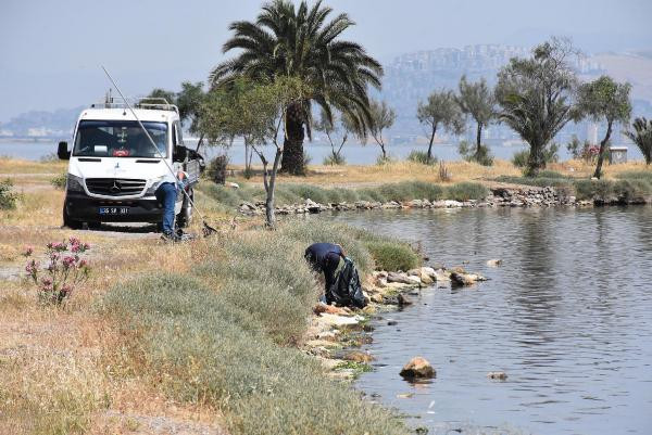Çakalburnu Lagününde oksijen tükendi, balıklar öldü