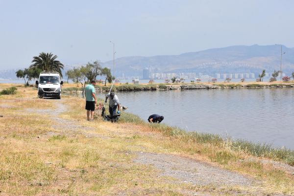 Çakalburnu Lagününde oksijen tükendi, balıklar öldü