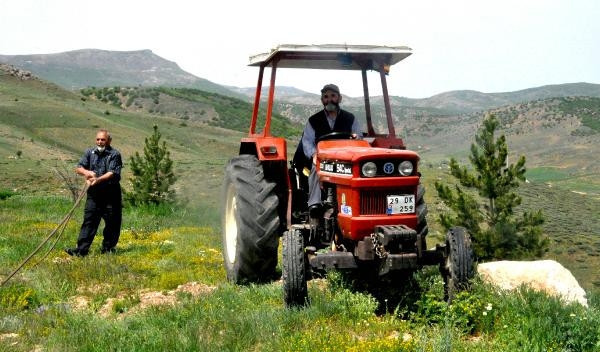 Çocukluk hayalleri orman için 12 bin fidan diktiler