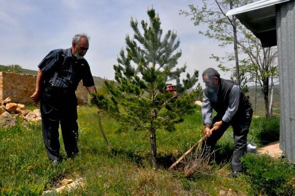 Çocukluk hayalleri orman için 12 bin fidan diktiler