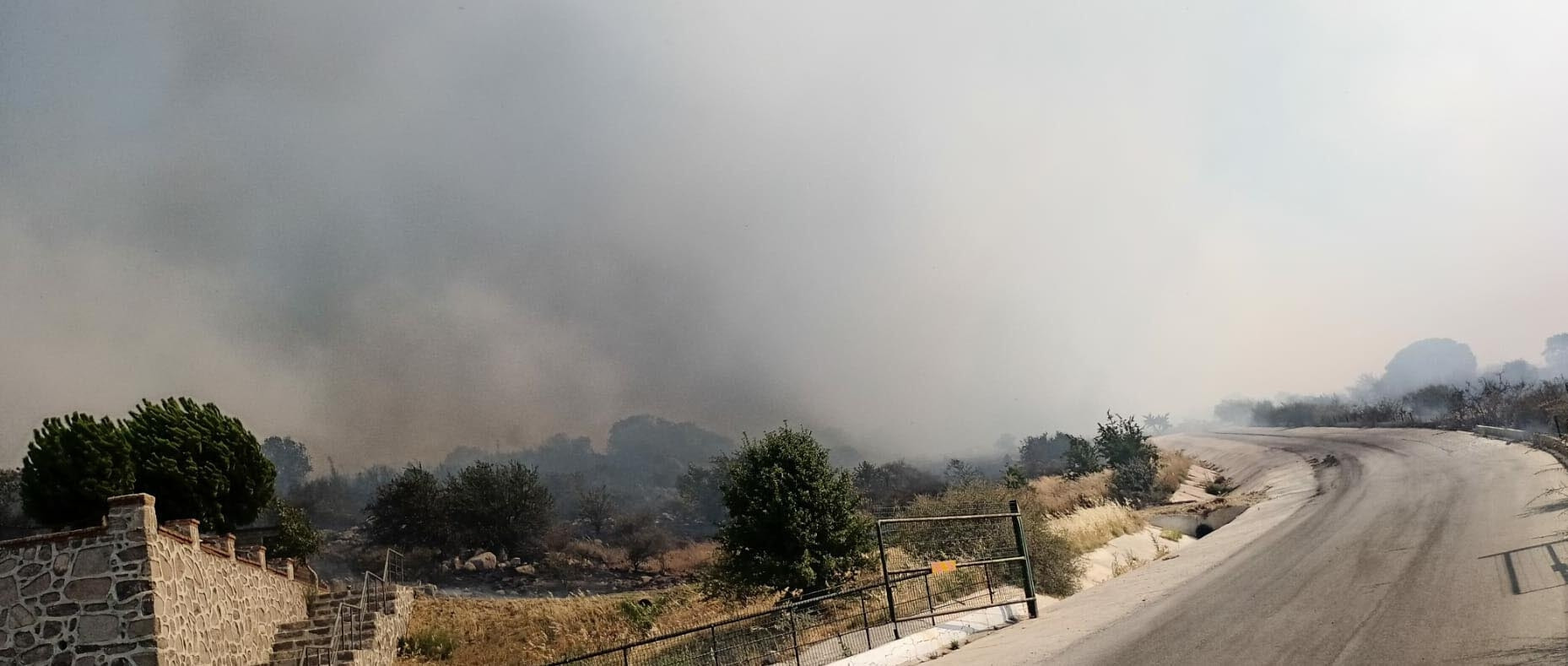 Bergamada makilik yangını