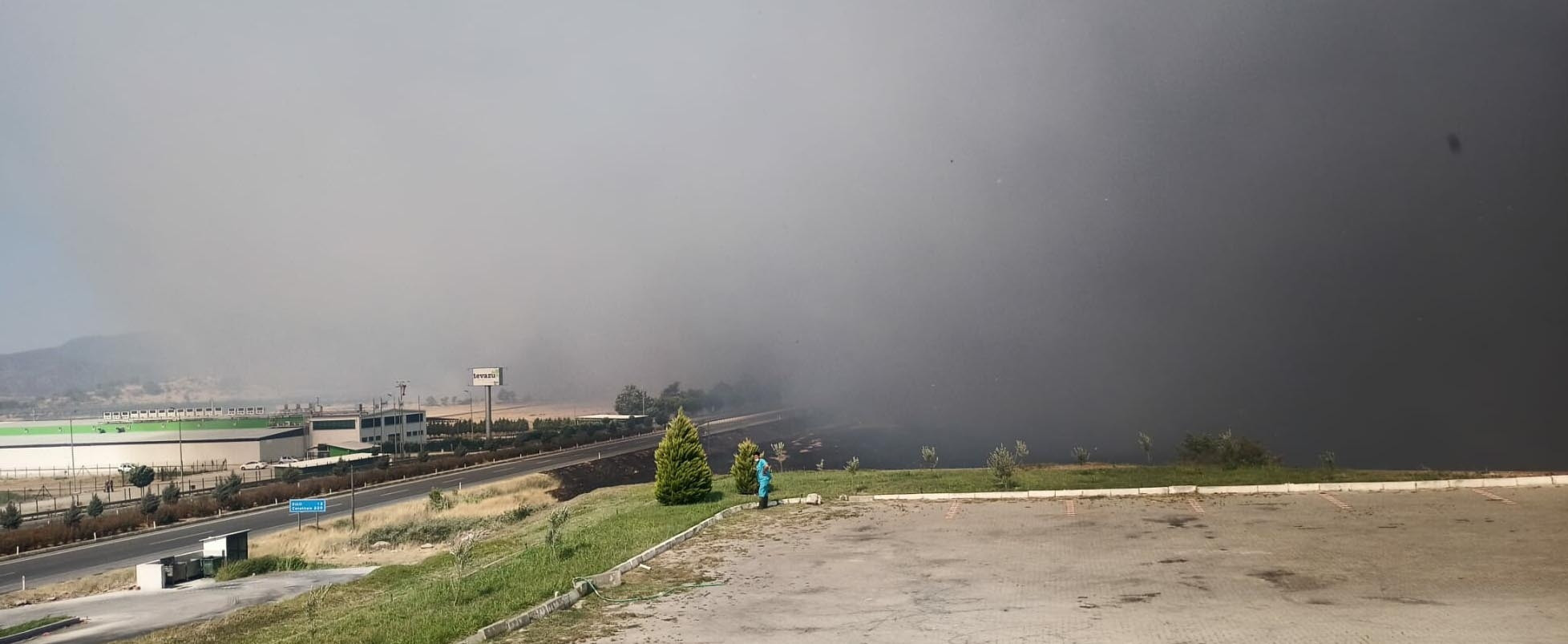 Bergamada makilik yangını