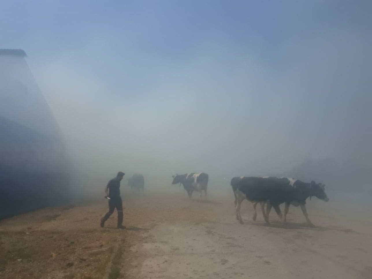 Bergamada makilik yangını