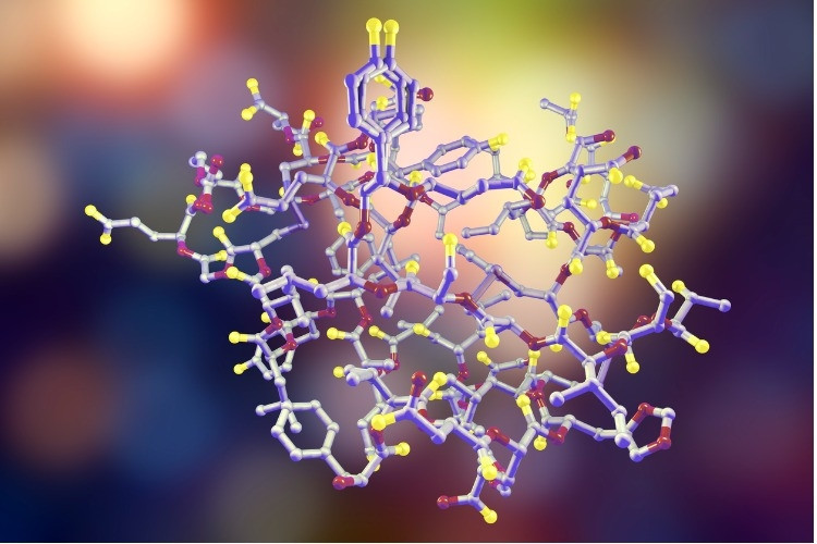 l carnitine hangi besinlerde bulunur L- karnitin nedir, ne işe yarar? L-karnitin içeren besinler