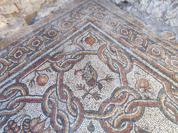 İşte Hadrianopolis Antik Kentinde bulunan yeni mozaikler