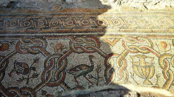 İşte Hadrianopolis Antik Kentinde bulunan yeni mozaikler