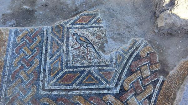 İşte Hadrianopolis Antik Kentinde bulunan yeni mozaikler