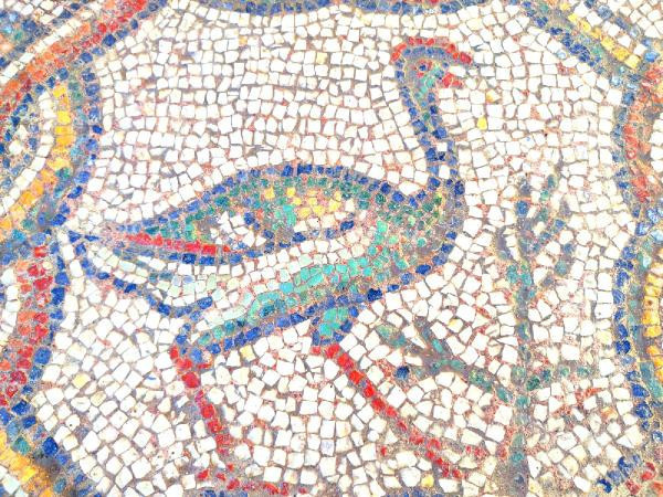 İşte Hadrianopolis Antik Kentinde bulunan yeni mozaikler