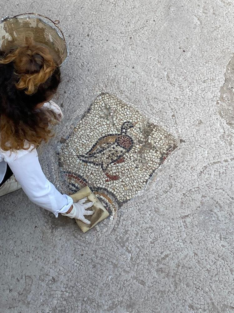 İşte Hadrianopolis Antik Kentinde bulunan yeni mozaikler